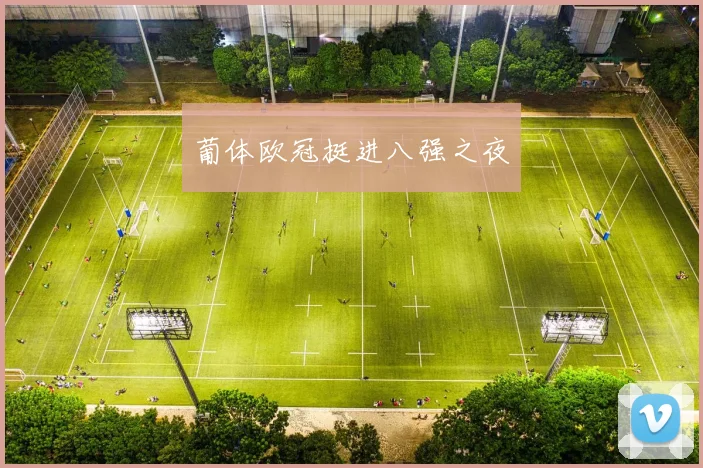 葡体欧冠挺进八强之夜