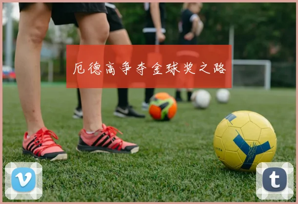 厄德高争夺金球奖之路
