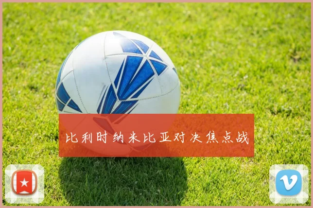 比利时纳米比亚对决焦点战