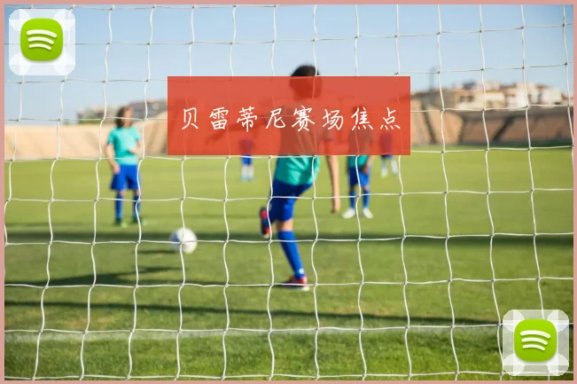 贝雷蒂尼赛场焦点