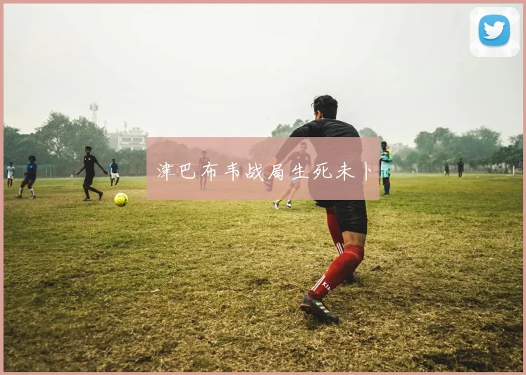 津巴布韦战局生死未卜