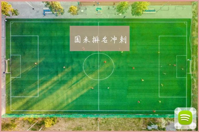 国米排名冲刺