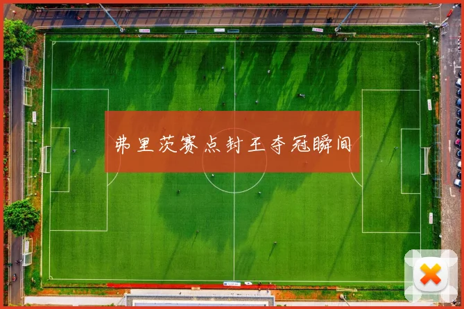 弗里茨赛点封王夺冠瞬间