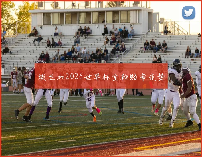埃兰加2026世界杯金靴赔率走势