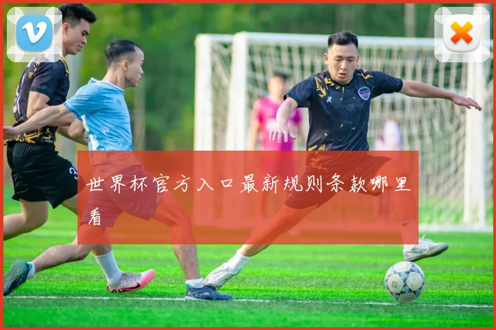 世界杯官方入口最新规则条款哪里看