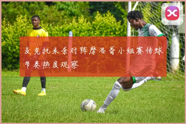 麦克托米奈对阵摩洛哥小组赛传球节奏热度观察