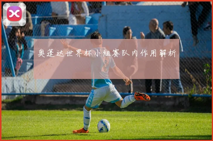 奥蓬达世界杯小组赛队内作用解析