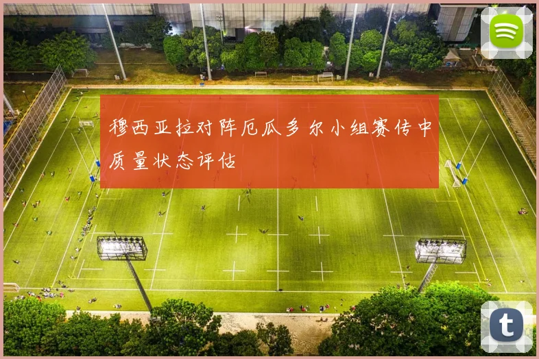 穆西亚拉对阵厄瓜多尔小组赛传中质量状态评估