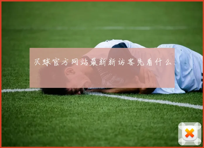 买球官方网站最新新访客先看什么
