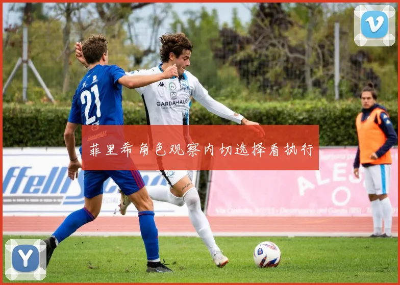 菲里希角色观察内切选择看执行