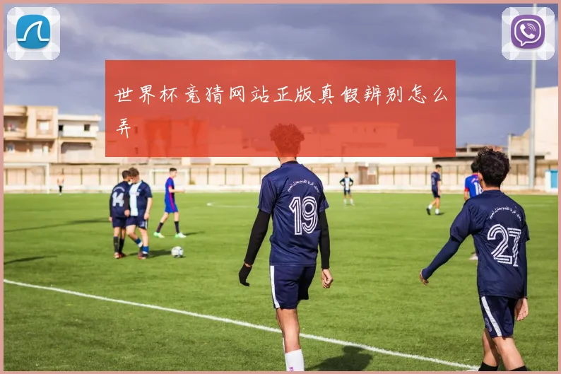 世界杯竞猜网站正版真假辨别怎么弄