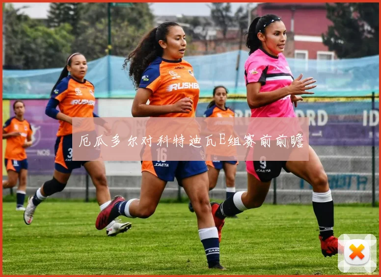 厄瓜多尔对科特迪瓦E组赛前前瞻
